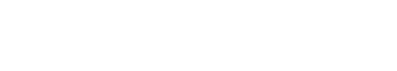 Logo Videira Palmas 2